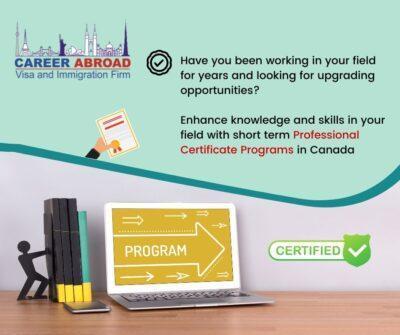 Short Term Professional Certificate Programs